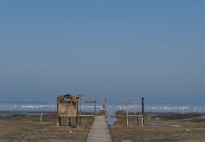 ساحل شنی و مسیر چوبی به ساحل دریای آرام گلوگاه 5212613612
