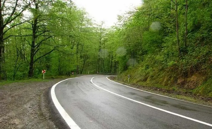 جاده آسفالت شده پوشیده از درخت پارک جنگلی خشکه داران 6526526526