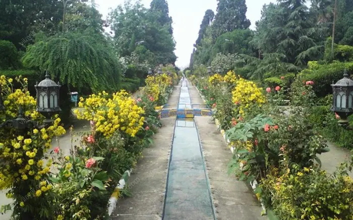 پارک ملت، باغشاه منحصر به فرد بهشهر با گل های زرد 15618746