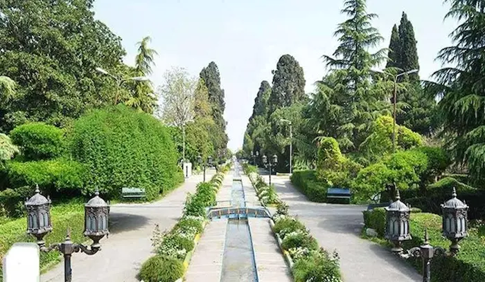 محوطه سرسبز با درختان کاج در باغشاه بهشهر 26541684