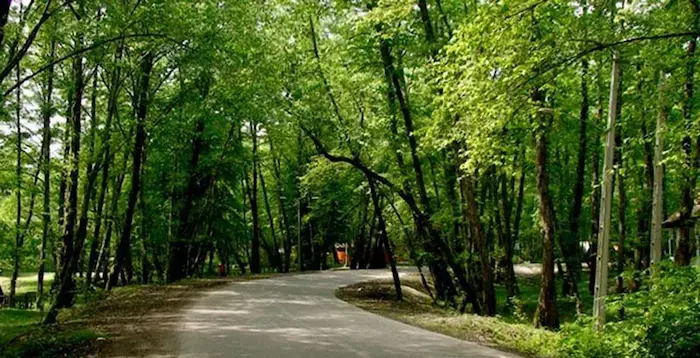 پارک جنگلی خرماچال مازندران و جاده آسفالت شده آن 468748