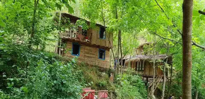 کلبه های جنگلی دلنشین در روستای یانه سر 87483547388