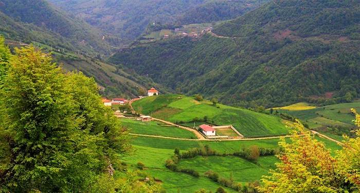 طبیعت دشت های روستای آهنگرکلا بهشهر 41348534358